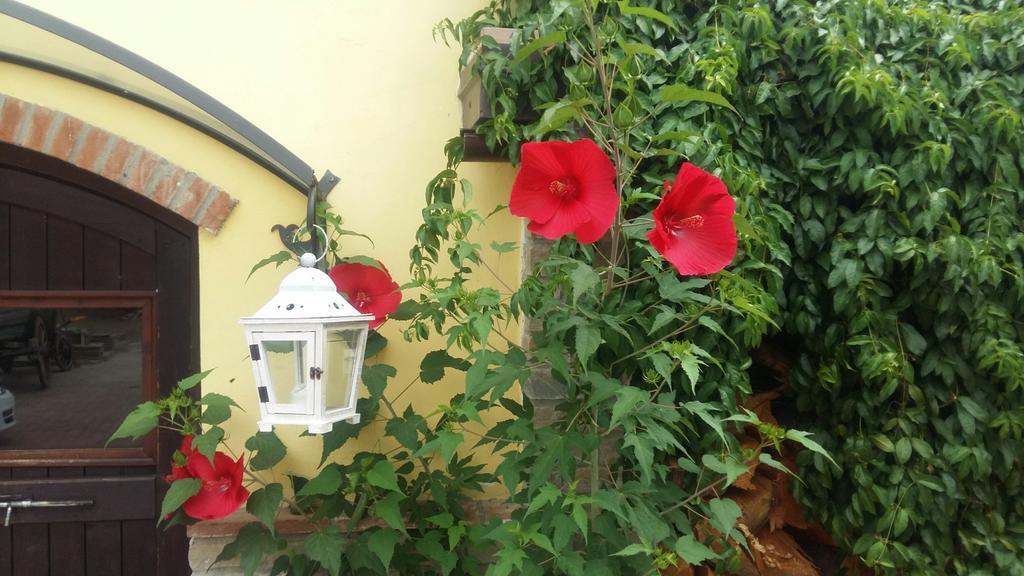 Cascina Bricco Appartement Ovada Kamer foto