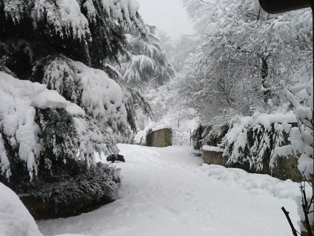 Cascina Bricco Appartement Ovada Buitenkant foto