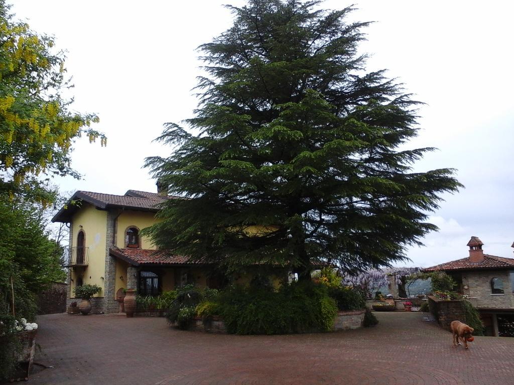 Cascina Bricco Appartement Ovada Buitenkant foto